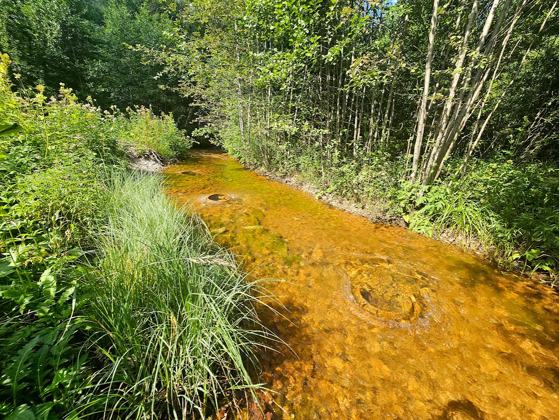 Saarest Saatseni OÜ