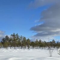 Mukri raba 2026 talvel