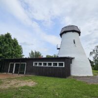 Muuga tuulik